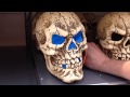 Morrisons Halloween 2014 Glowing Skull Decoration