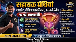 Class 10th Biology: मानव जनन की सहायक ग्रंथियां (Accessory Glands) कार्य, लाभ और समस्याएं |
