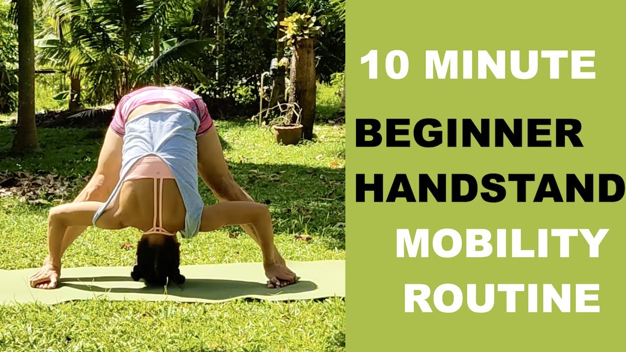 10 Minute Beginner Stretch Mobility Routine (FOLLOW ALONG) - YouTube