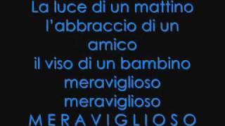 Video thumbnail of "Meraviglioso Negramaro (testo)"