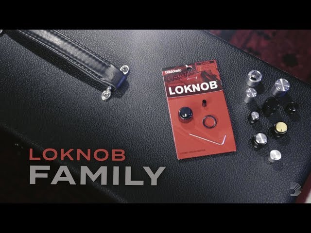 Ручка с инкрементной шайбой для потенциометра DADDARIO PW-LNS-01B Loknob Small Black, Plastic Knob