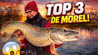 Top 3 leurres pour l'ouverture
