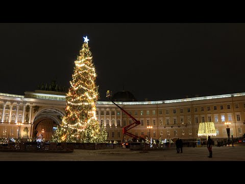 Главная ель Петербурга покидает Дворцовую площадь