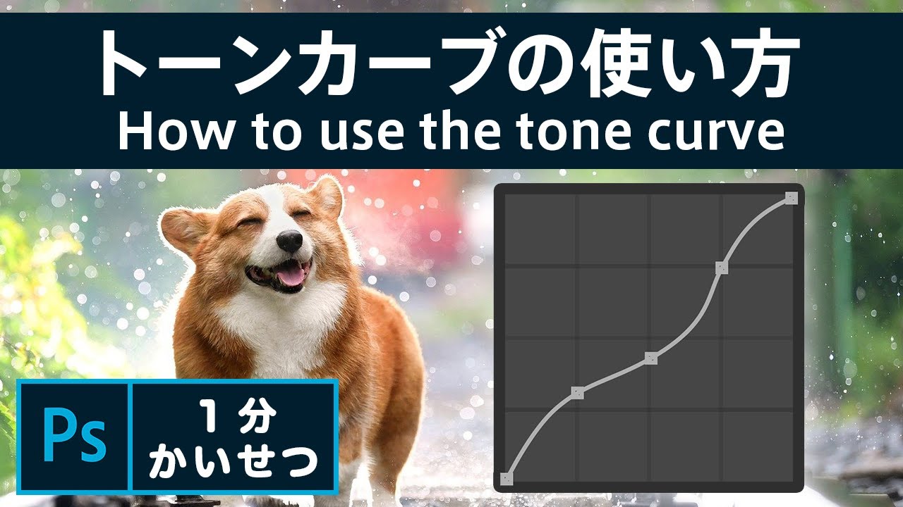 フォトショップのトーンカーブの使い方 How To Use Photoshop Tone Curve Youtube