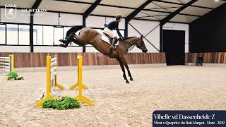 Vibelle vd Dassenheide Z