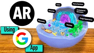 AR using Google App | Study of Eukaryotic cell | Use of Augmented Reality in Education screenshot 3
