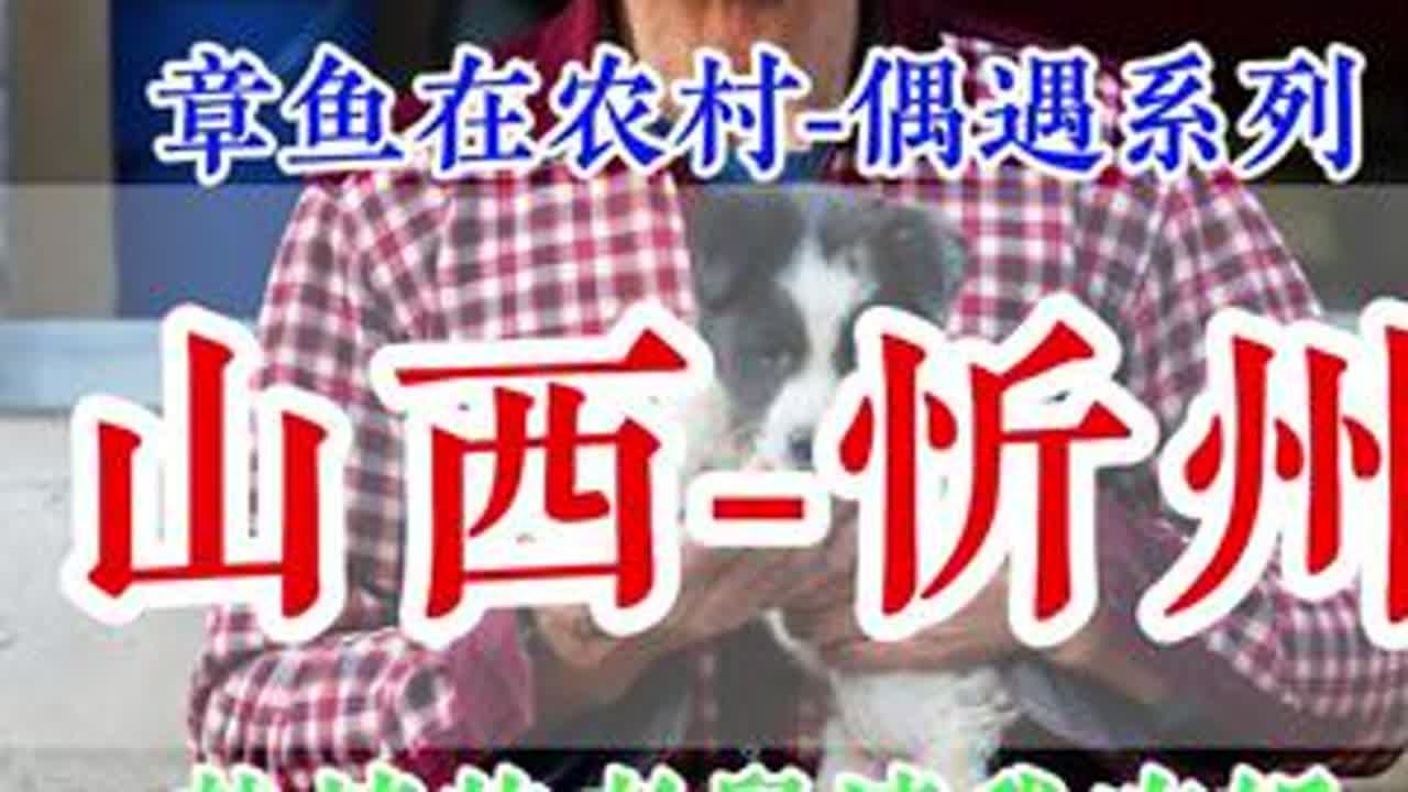 每个人活在这个世上都不容易，珍惜你身边的人，记得善待他人…… 