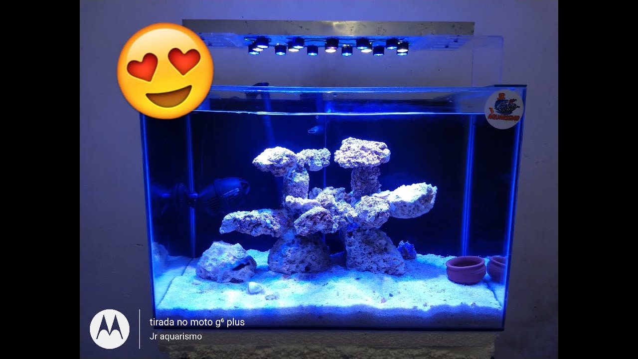 Como montar luminária led para aquário marinho
