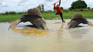 Best Fishing today  A fisher man catch mud fishes under soft ground at lake meets hard skins fishes