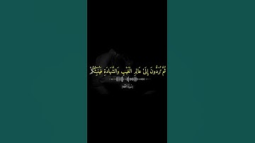 من سورة الجمعة | القارئ ماهر المعيقلي. اكتب شيء تؤجر عليه 🤍 #قران #قرآن #حالات #قرآن_كريم #quran
