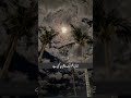 رویّوں کی تکلیف اگر دل میں اُتر جائےتو الفاظ #islamicvideo #sadpoetry مداوا نہیں کر سکتے