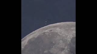 مخلوقات غريبة تظهر على سطح القمر تم تصويرها بواسطة احد هواة التصوير