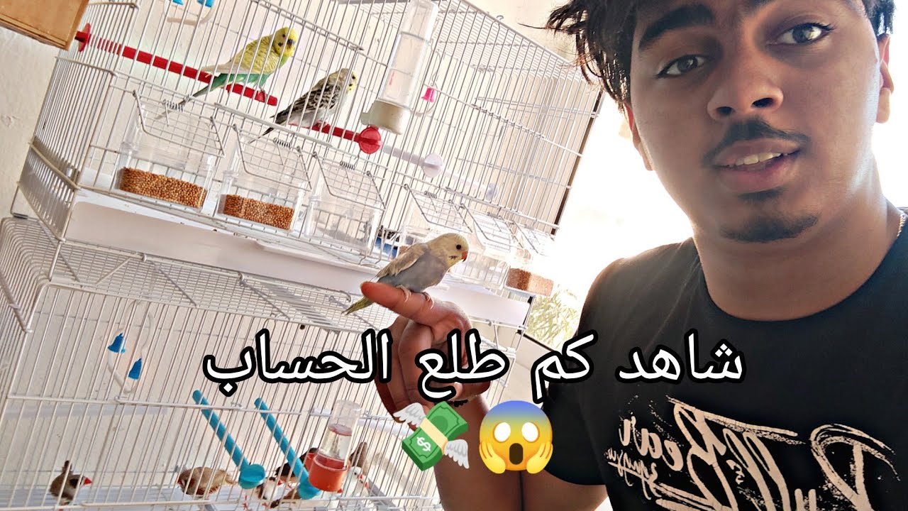 إشتريت 12 من طيور الزيبرا🐦 من سوق القريعه للحيوانات 🔥❤️