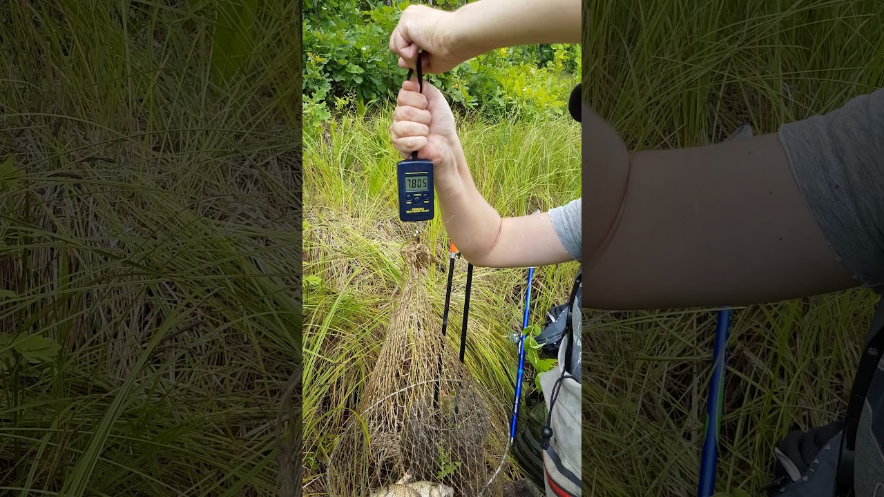 Мой улов 270719