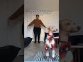 #funny #cat #pets #animals #dog #cute #cats #memes #dogs #funnyanimals