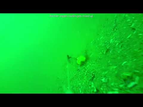 Shambles bank underwater footage of turbot fishing