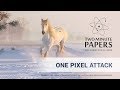 One Pixel Attack Defeats Neural Networks | Two Minute Papers #240