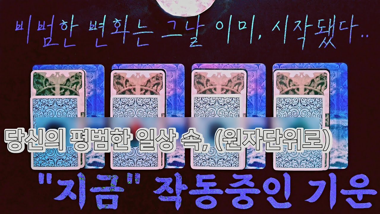 [타로] 곧 당신의 평범한 하루는 이 계시를 따라 비범한 하루로 격|변|한다 ※실제장면※