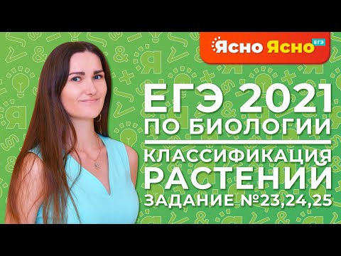 ЕГЭ по биологии 2021 | Отдел Плауны, Хвощи, Папоротники | Задание №23, №24, №25 | Ясно Ясно ЕГЭ