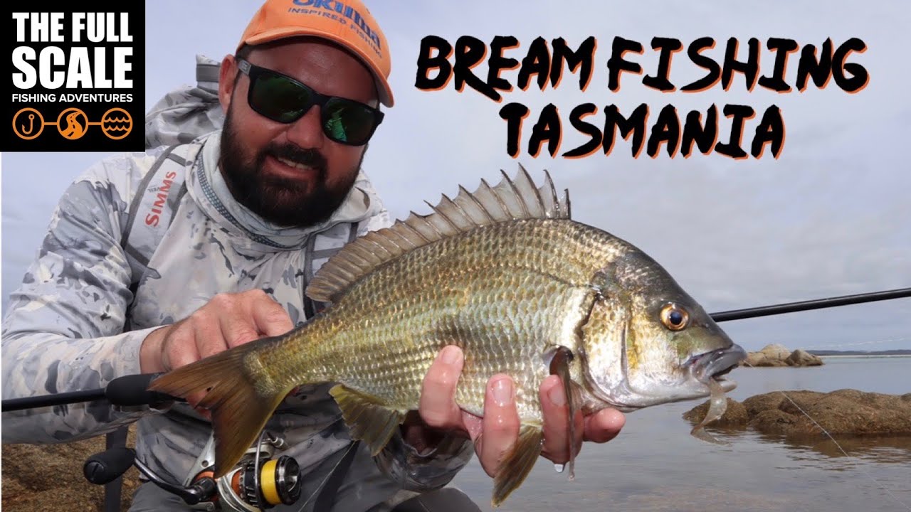 Searching The North | Bream Fishing Tasmania | The Full Scale - YouTube