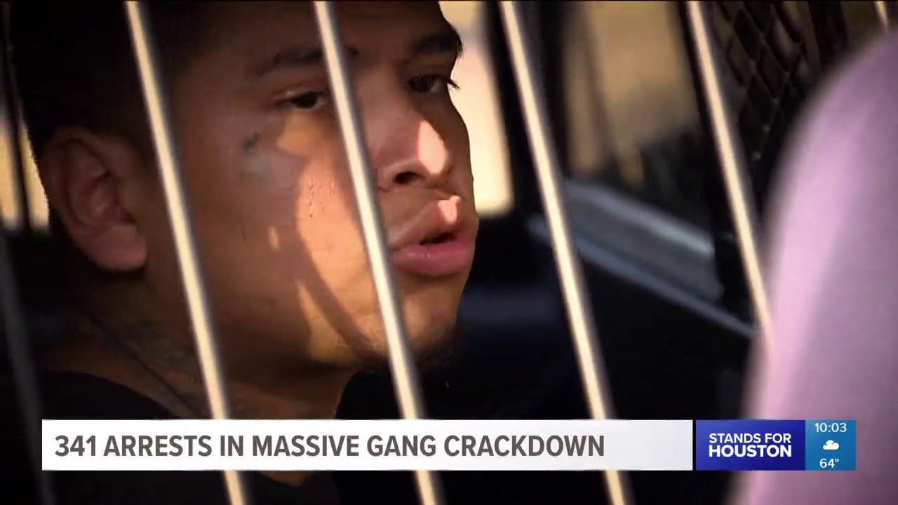 341 arrests made in massive gang crackdown