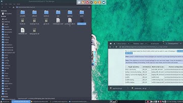 ArcoLinux : 1541 Carli 6 - building in a clean chroot environment