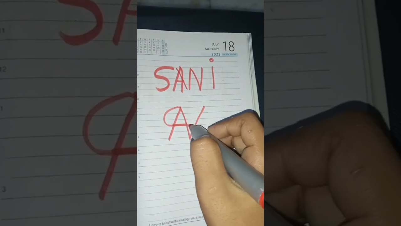 Sani name brand logo ! 