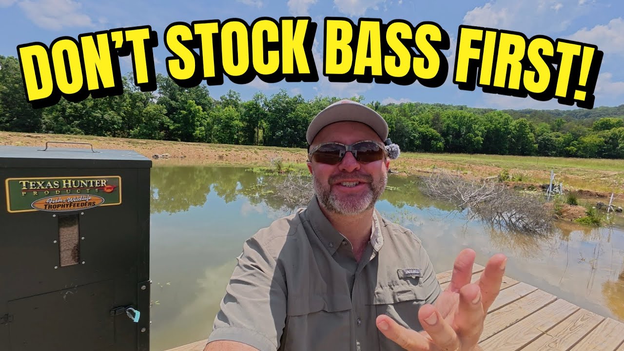 We Waited 12 Months Before Stocking Bass… Here’s Why!
