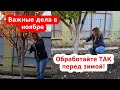 Что делать перед зимой. Обработка сада и города. Важные дела на дача, в саду и огороде в ноябре.