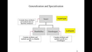 Type Inheritance Foundation Details