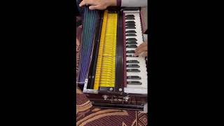 Learn Guitar, Piano, Harmonium &amp; More with a Professional Musician and Composer 🎵 ... - Danish Khan