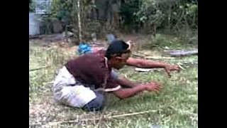 Silat Harimau Hulu Terengganu.