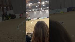 älskar islandshästar!!!!