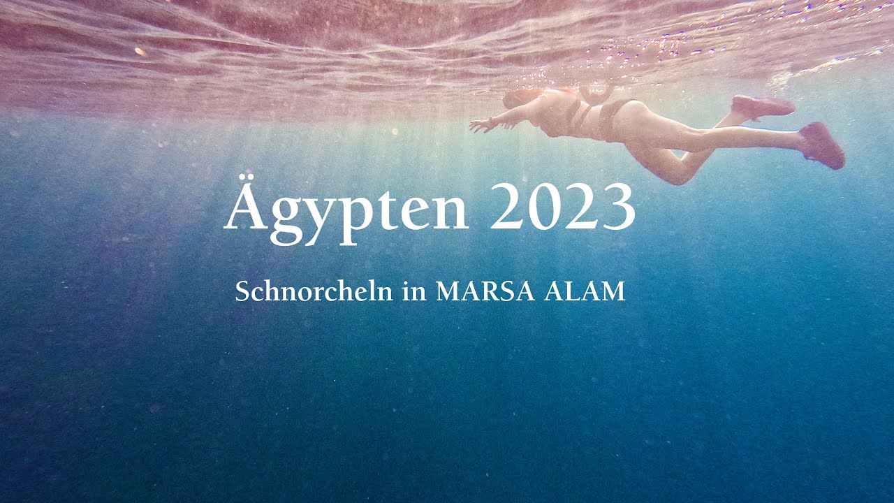 Ägypten 2023 Schnorcheln in Marsa Alam YouTube