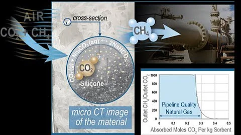 Upgrading Biogas Waste Streams to Renewable Revenu...