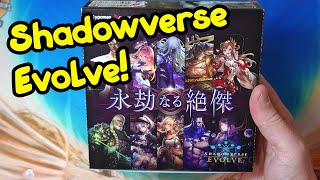 Shadowverse Evolve Eternal Eminence Box Opening (永劫なる絶傑 BP05)!