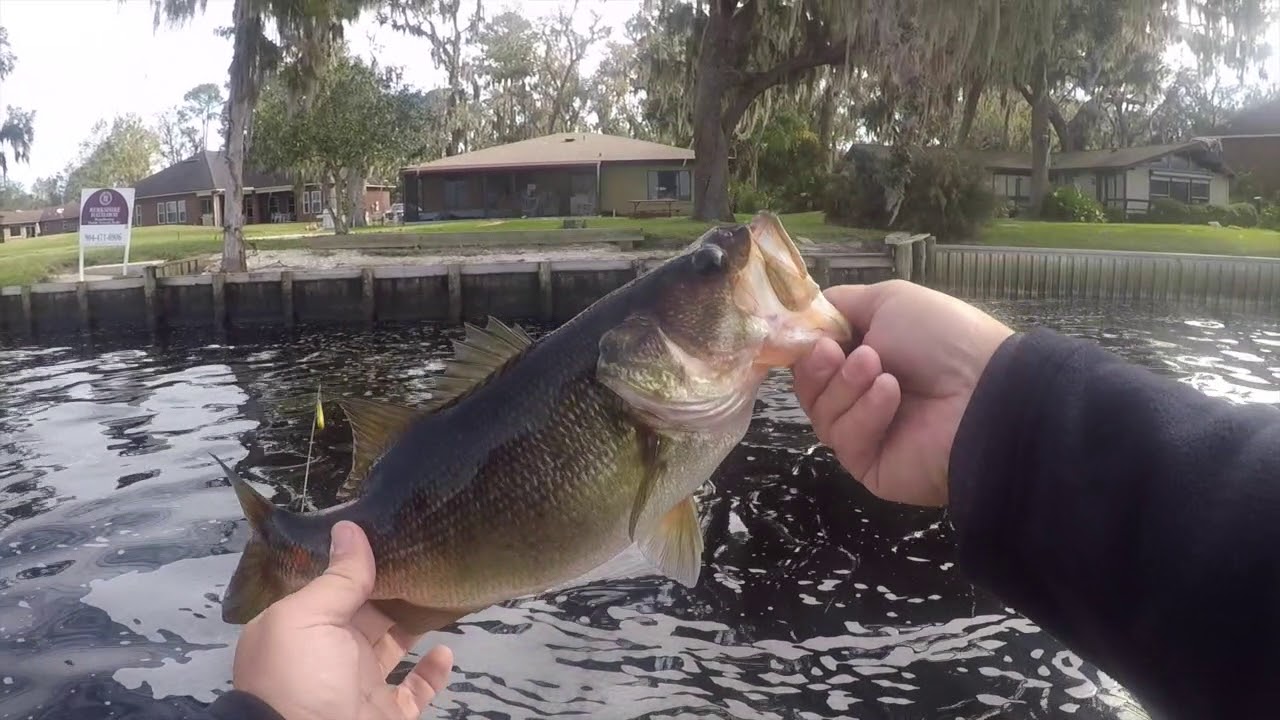 Fishing the St. Johns River - YouTube