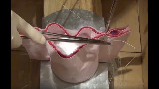 Intermediate Suturing And Knot Tying Skills For The Gynecologist
