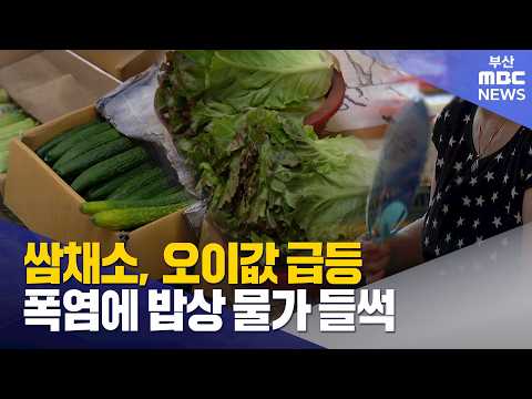 폭염에 채솟값 상승..'히트플레이션' 닥쳤다 (2026-08-10,월/뉴스데스크/부산MBC)
