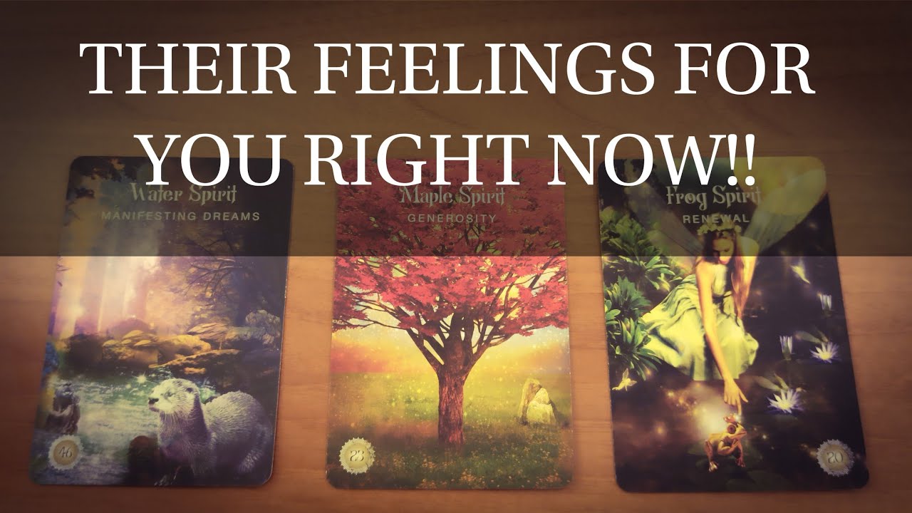 PICK A CARD: 😍🌺🌻 THEIR FEELINGS FOR YOU RIGHT NOW! 🌻🌺😍 TIMELESS TAROT READING.