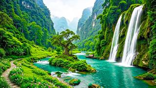 Soft Piano Music for Deep Relaxation 🌿 Forest Ambience for Mental Clarity, Restful Sleep & Serenity screenshot 5