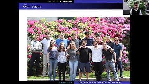 Overview of research in the Slavov Laboratory