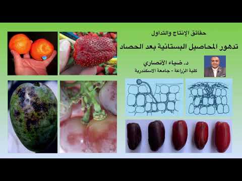 تدهور المحاصيل البستانية بعد الحصاد د ضياء الأنصاري