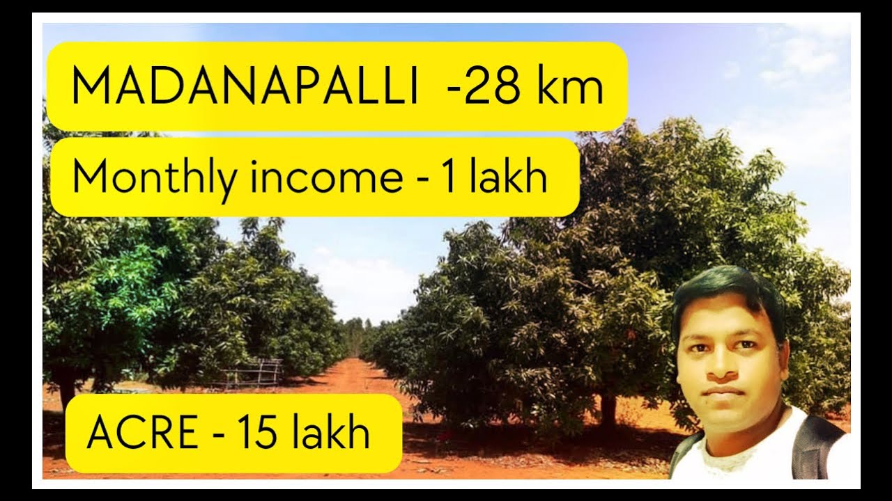 25 Acres mango garden sale || madanapalli-28km || Bangalore-230km ||Tirupathi-130 km || Acre -15lakh
