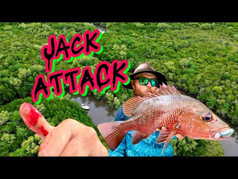 THE CITY’S SECRET CREEK! // Loaded with Fish!!!
