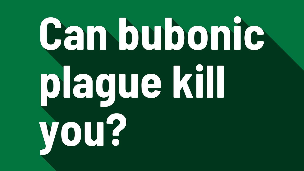 Can bubonic plague kill you? YouTube