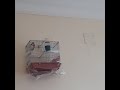 تغريد حسون سوري صرة نهرية مع زلغوطه صلو على النبي حسون بتبته لتعليم الفراخ اشتراك لايك تفعيل جرس 