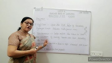 Class XII Biology Chapter 6 Molecular Basis of inheritance