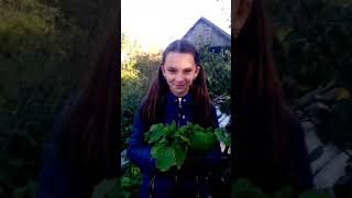 Пародия на клип Регины Тодоренко- Fashion Пародия на клип Регины Тодоренко- Fashion