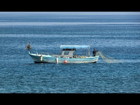 Video: Որոնք են ձկնորսության մարտավարությունը
